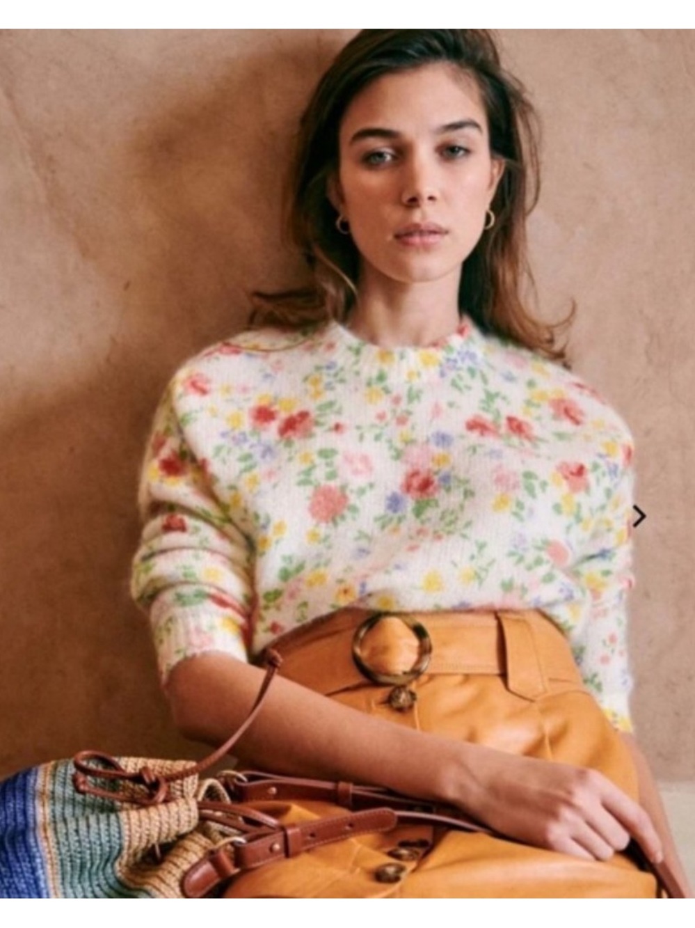 ✨Sezane Paulie Jumper